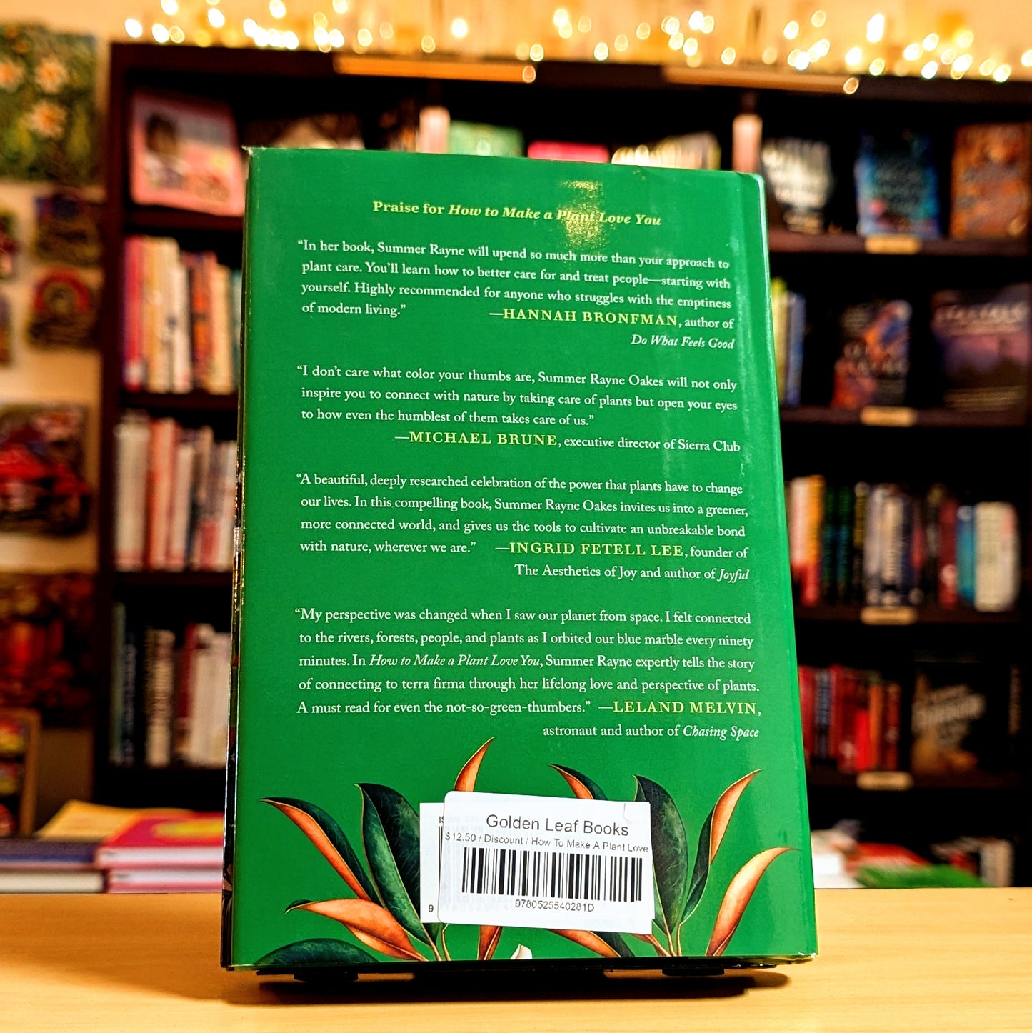 How to Make a Plant Love You: Cultivate Green Space in Your Home and Heart