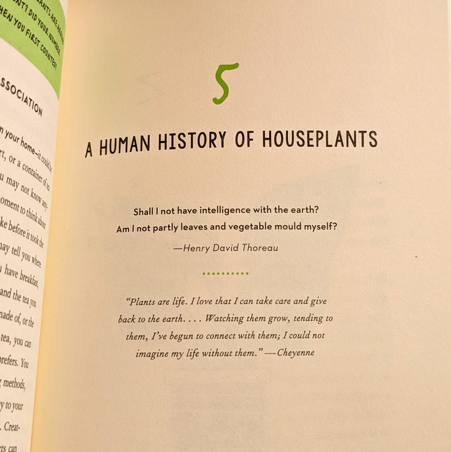 How to Make a Plant Love You: Cultivate Green Space in Your Home and Heart