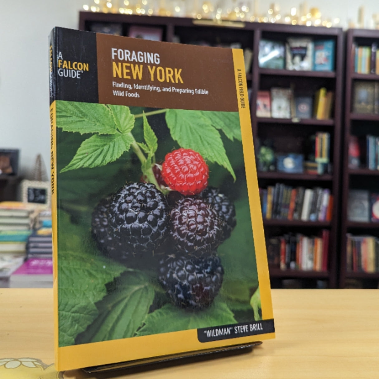 Foraging New York: Finding, Identifying, and Preparing Edible Wild Foods (Foraging Series)