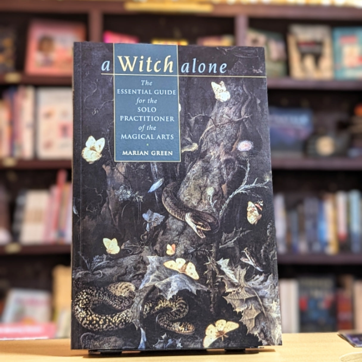 Witch Alone: The Essential Guide for the Solo Practitioner of the Magical Arts