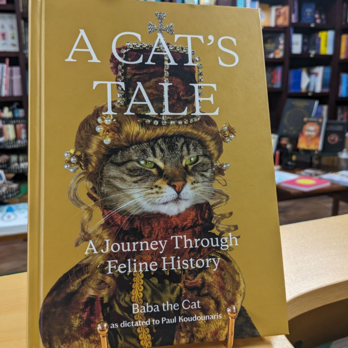 A Cat's Tale: A Journey Through Feline History