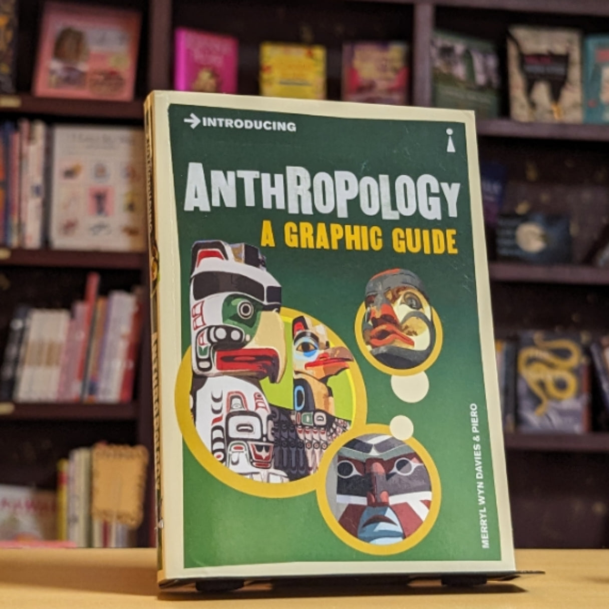 Introducing Anthropology: A Graphic Guide