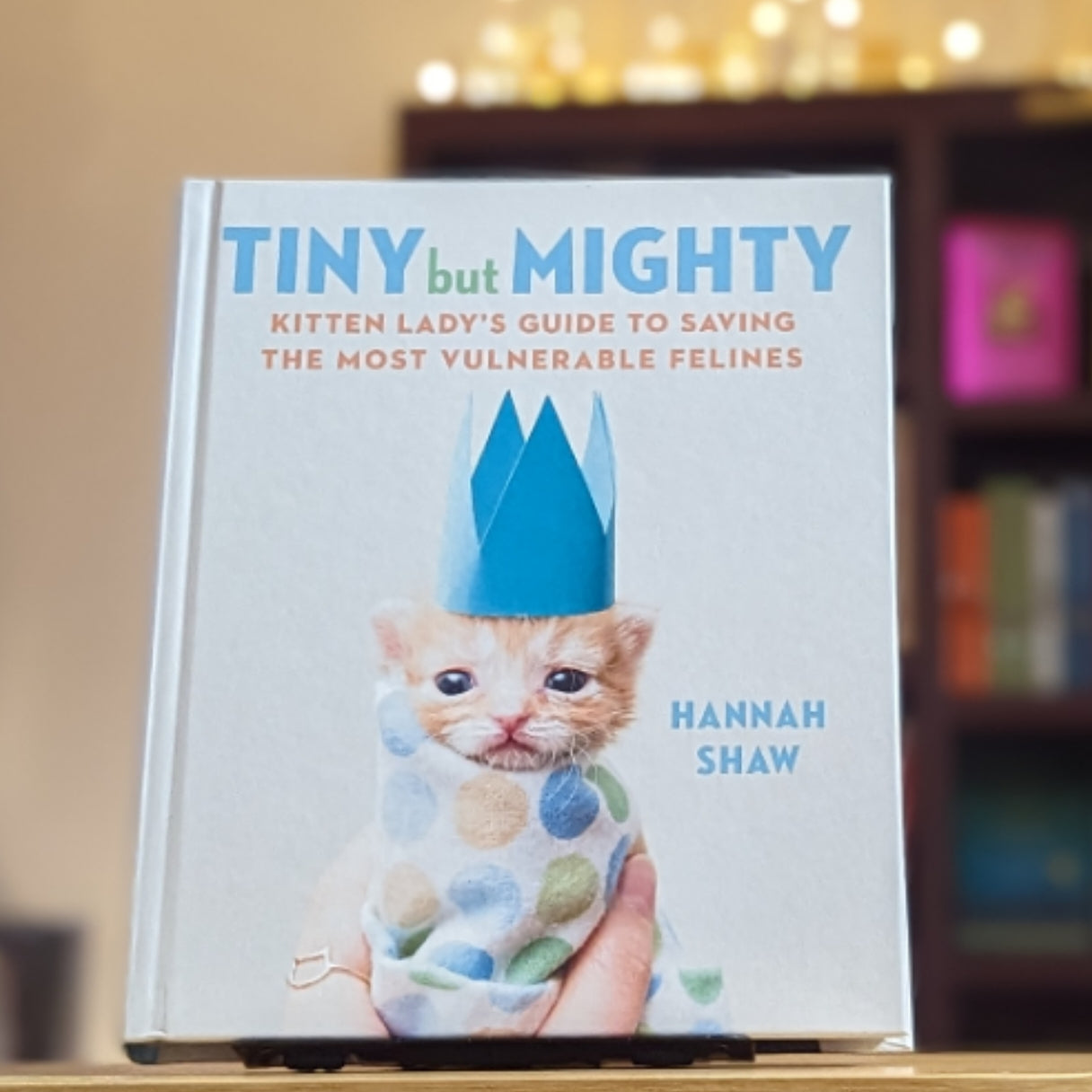 Tiny But Mighty: Kitten Lady's Guide to Saving the Most Vulnerable Felines