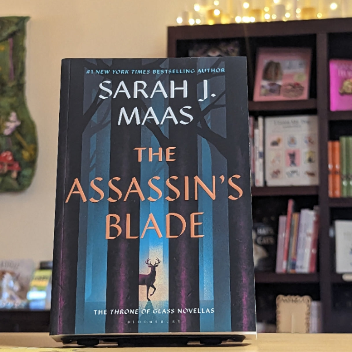 The Assassin's Blade: The Throne of Glass Prequel Novellas (Throne of Glass, 8)