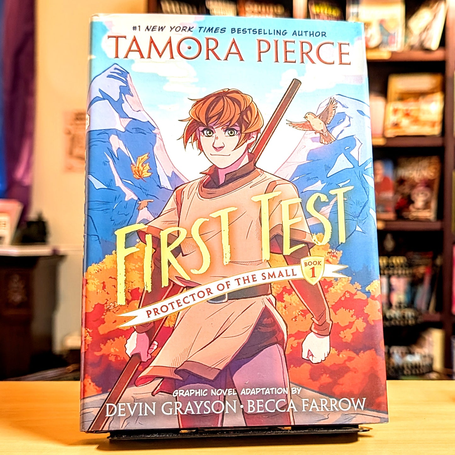 First Test Graphic Novel: (A Graphic Novel)