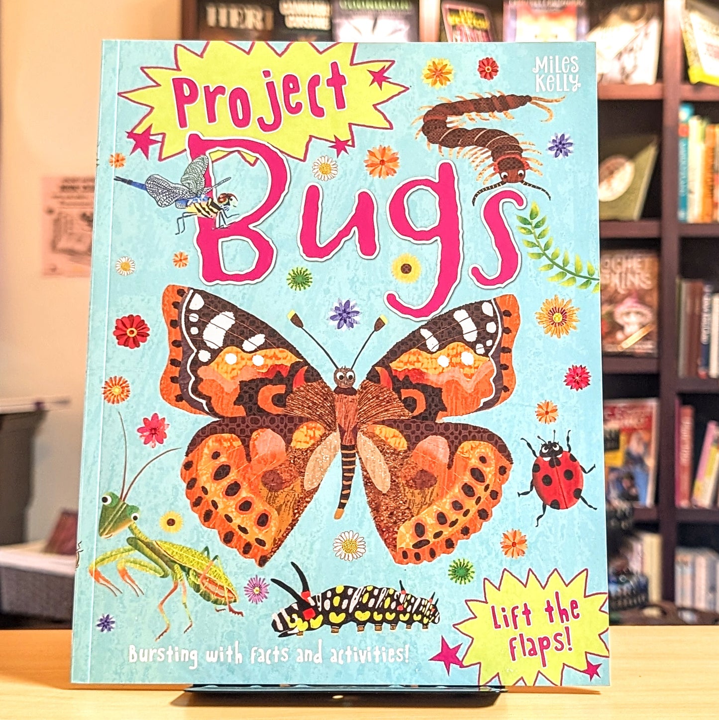 Project Bugs