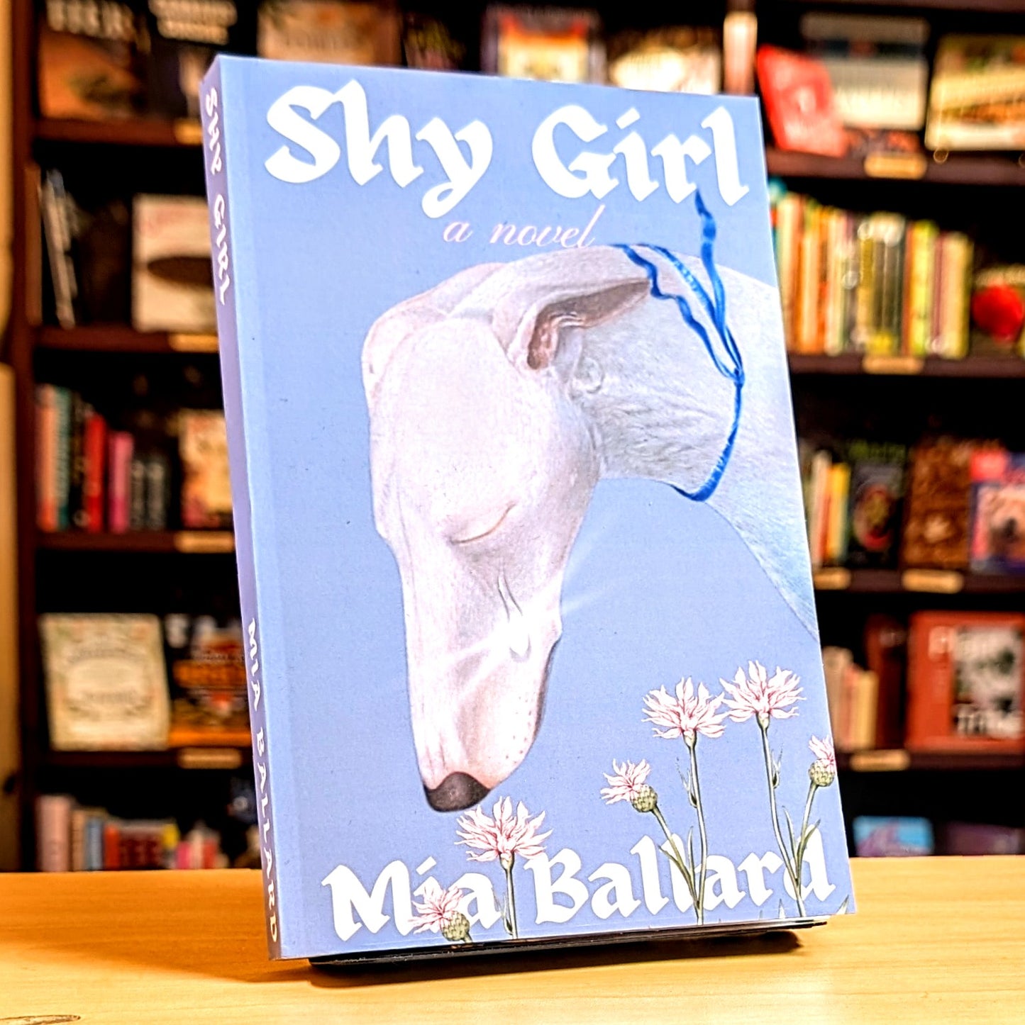 Shy Girl