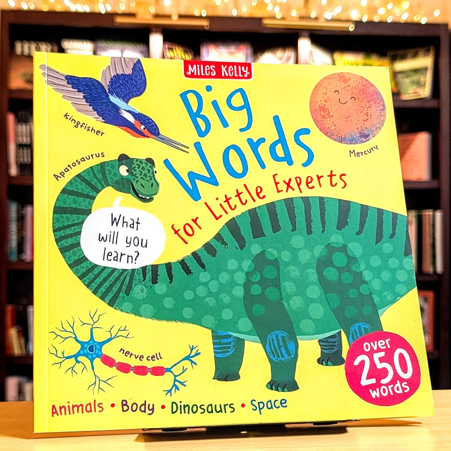 Big Words for Little Experts