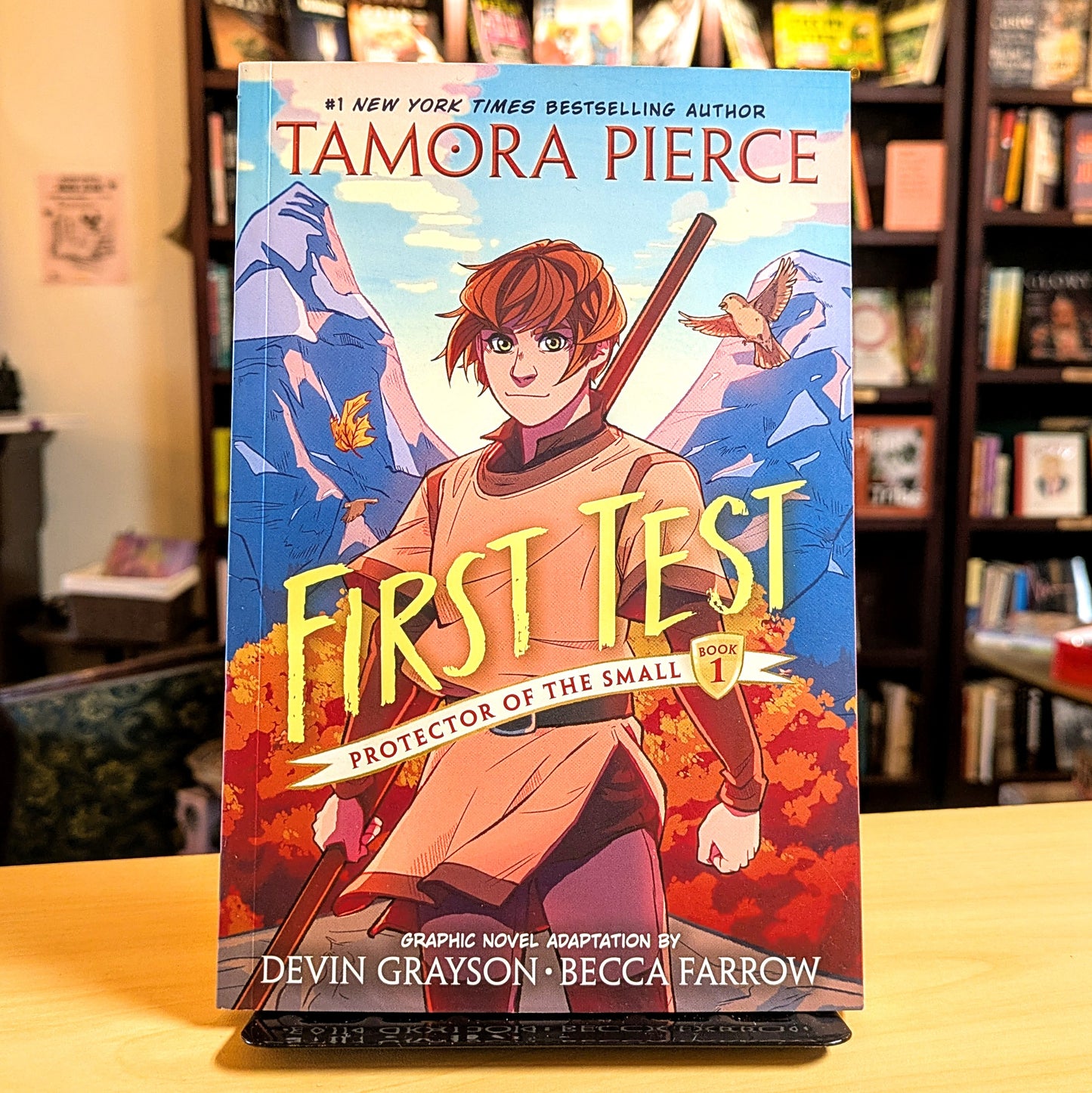 First Test Graphic Novel: (A Graphic Novel)