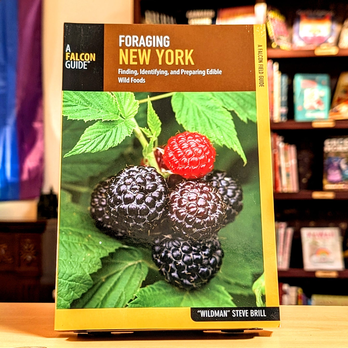 Foraging New York: Finding, Identifying, and Preparing Edible Wild Foods (Foraging Series)