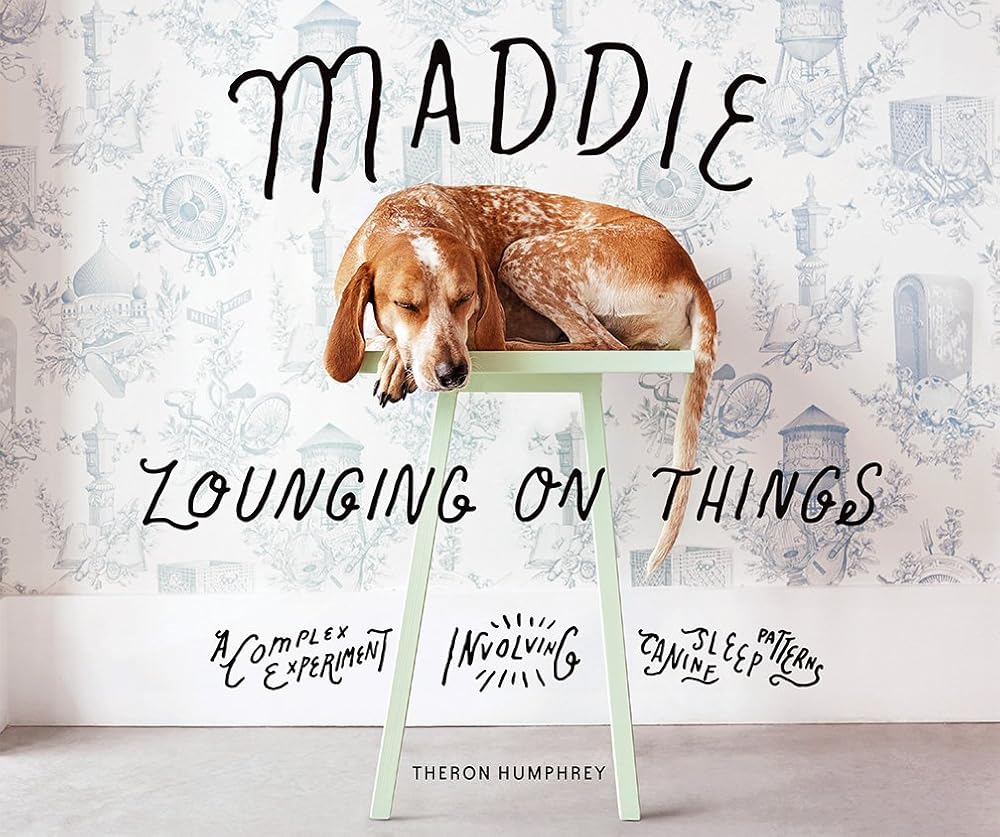 Maddie Lounging On Things: A Complex Experiment Involving Canine Sleep Patterns cover image