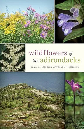 Wildflowers of the Adirondacks cover image