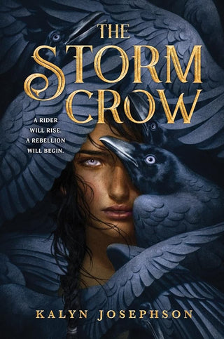The Storm Crow cover image