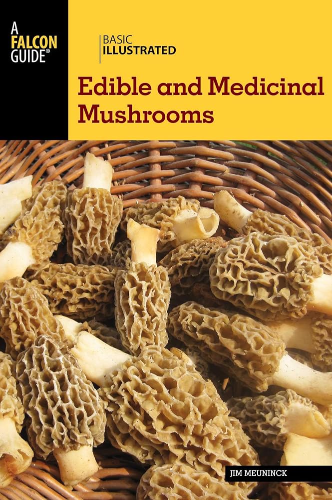 Basic Illustrated Edible and Medicinal Mushrooms (Basic Illustrated Series) cover image