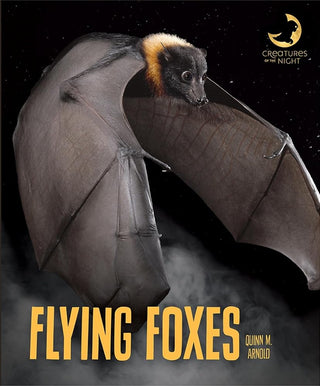 Flying Foxes (Creatures of the Night) cover image