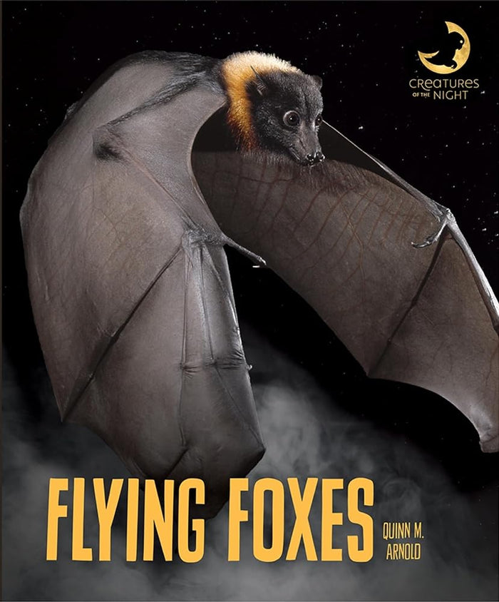 Flying Foxes (Creatures of the Night) cover image