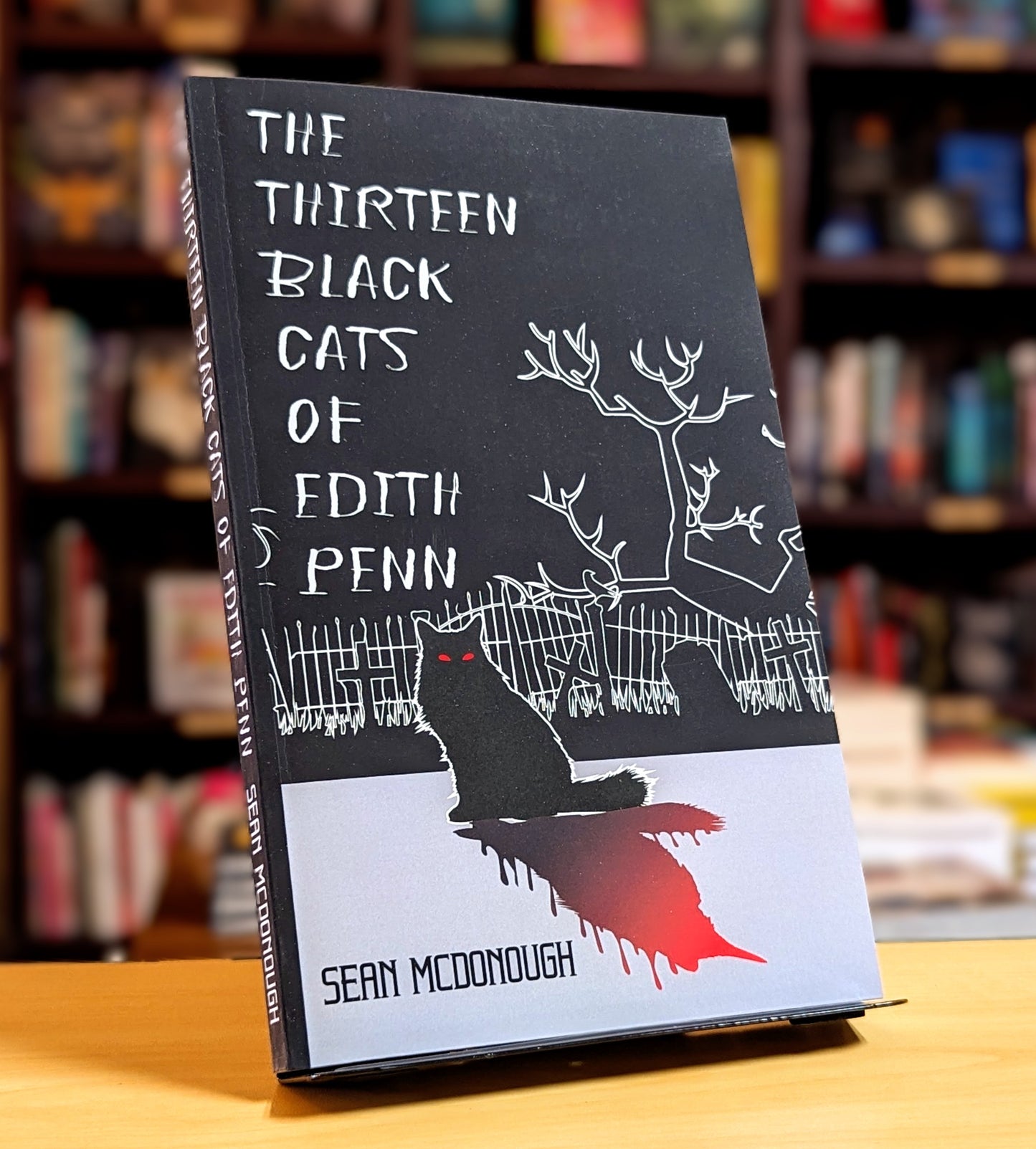 The Thirteen Black Cats of Edith Penn