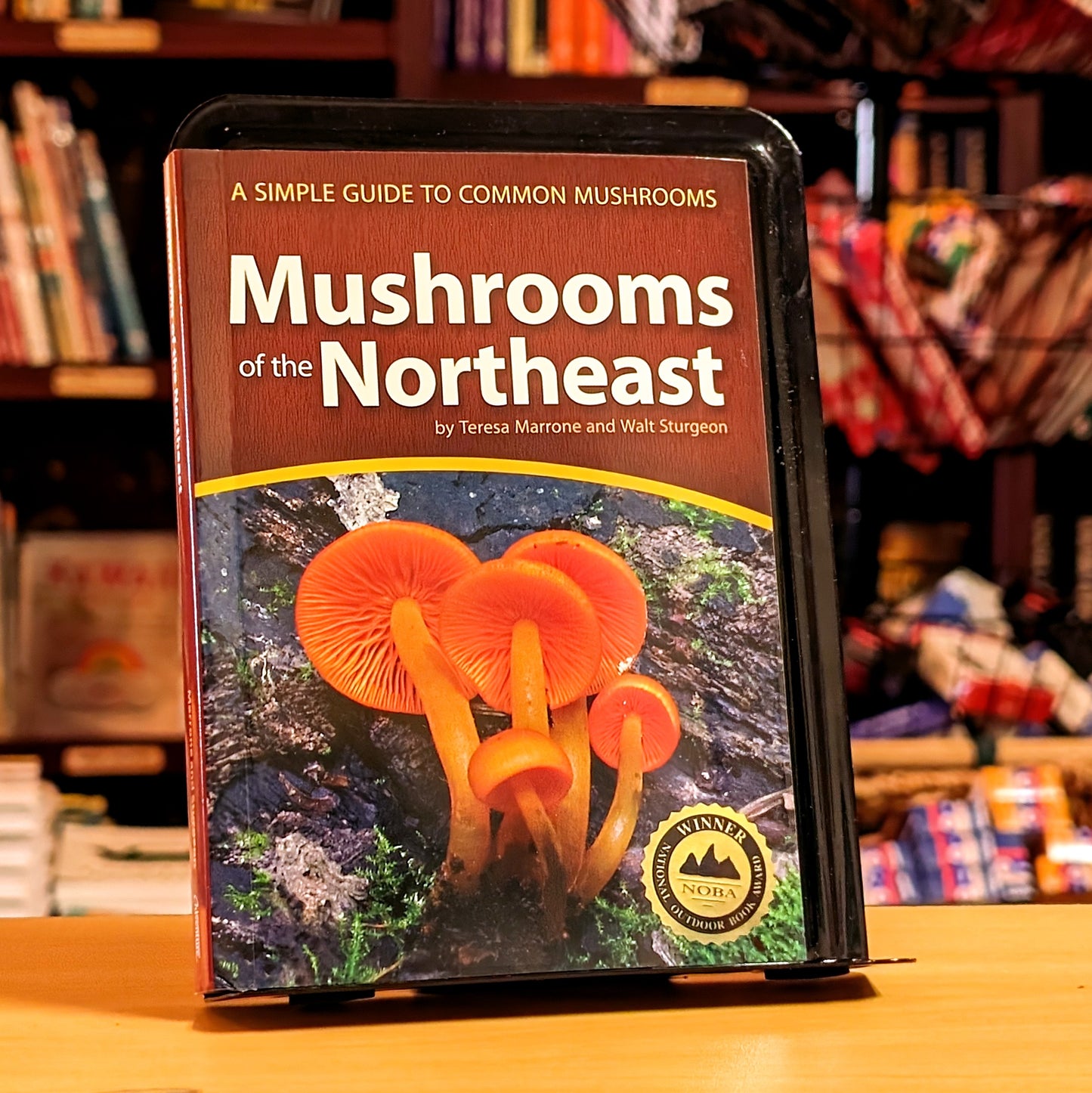 Mushrooms of the Northeast: A Simple Guide to Common Mushrooms (Mushroom Guides)