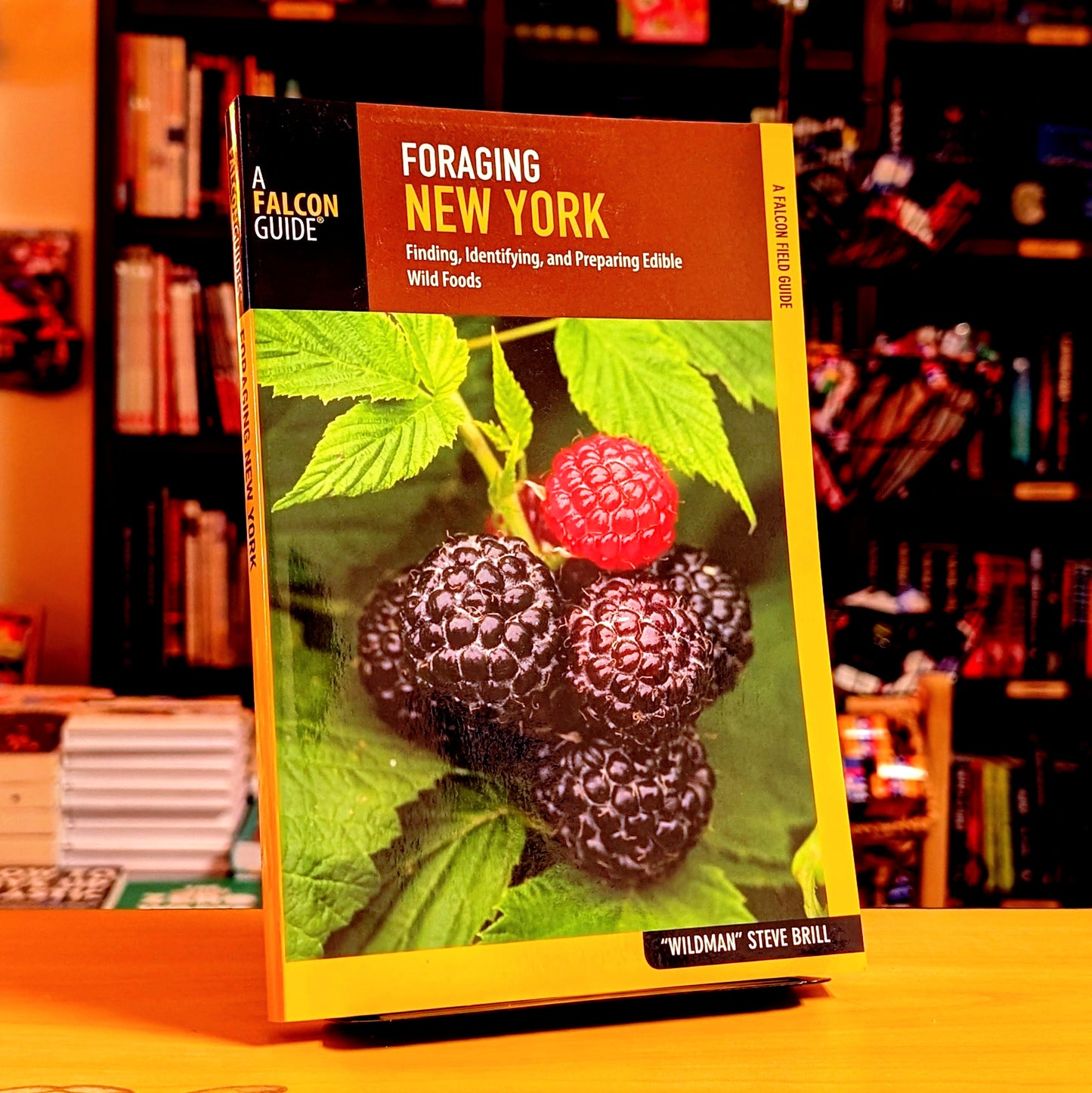 Foraging New York: Finding, Identifying, and Preparing Edible Wild Foods (Foraging Series)