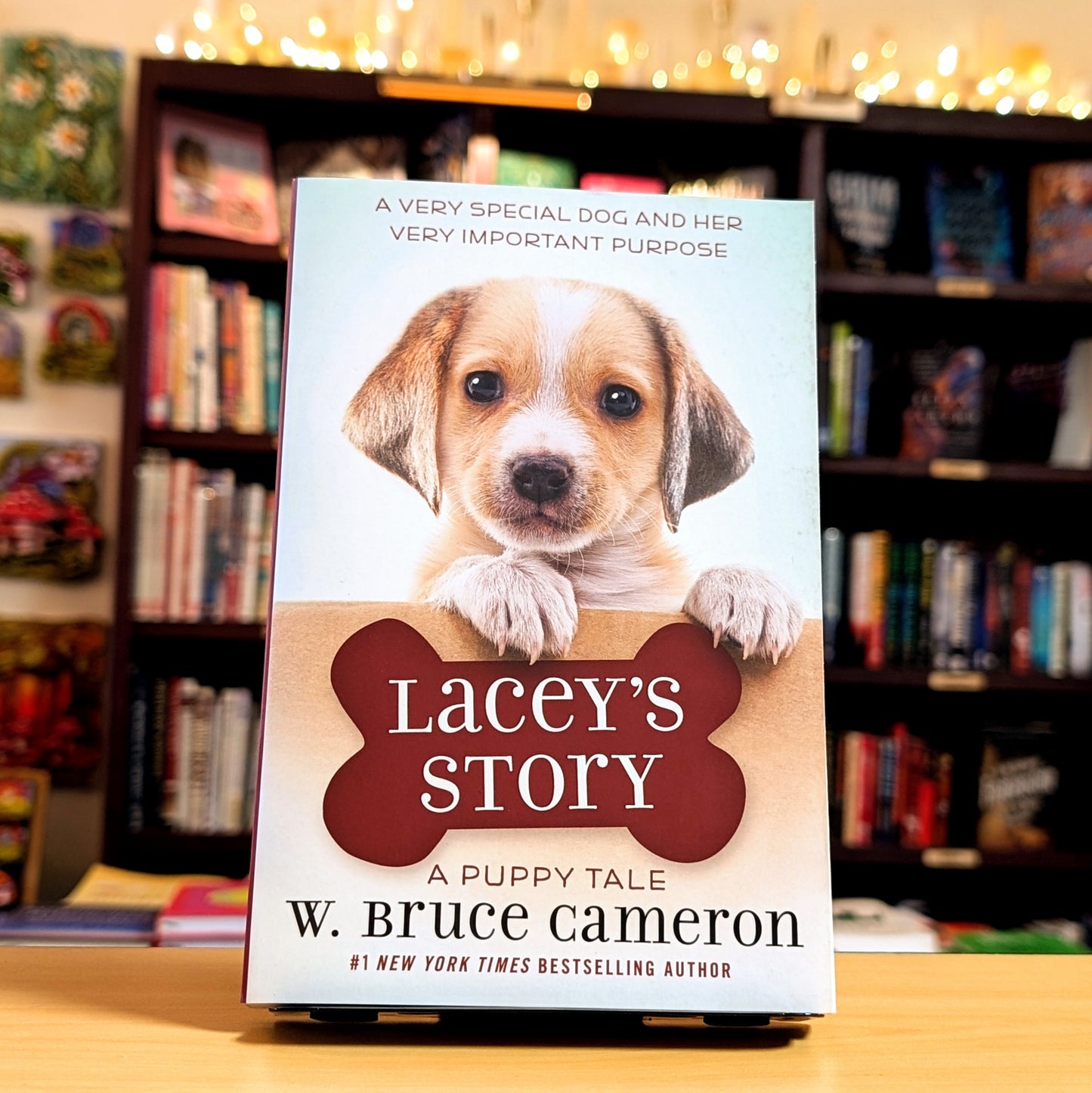 Lacey's Story: A Puppy Tale