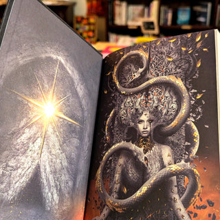 House of Flame and Shadow