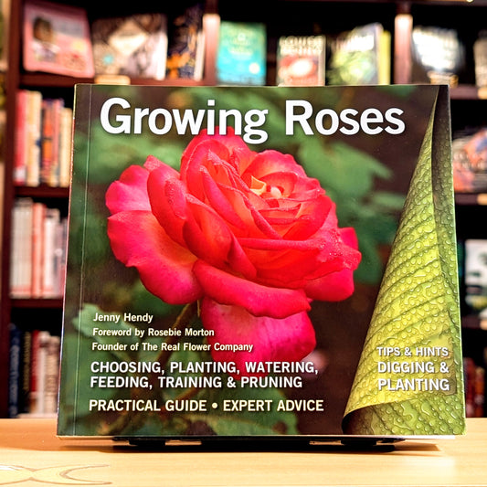 Growing Roses: Plan, Plant and Maintain (Digging and Planting)