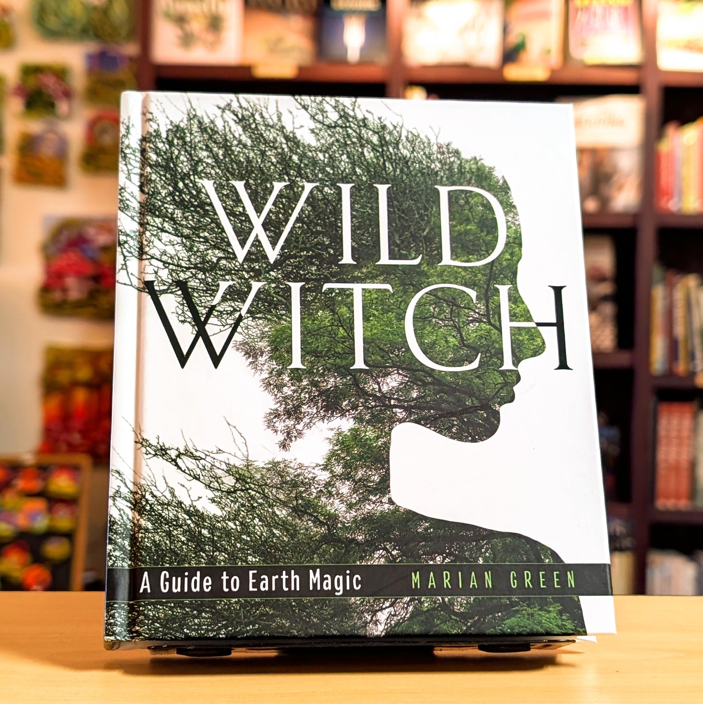 Wild Witch: A Guide to Earth Magic