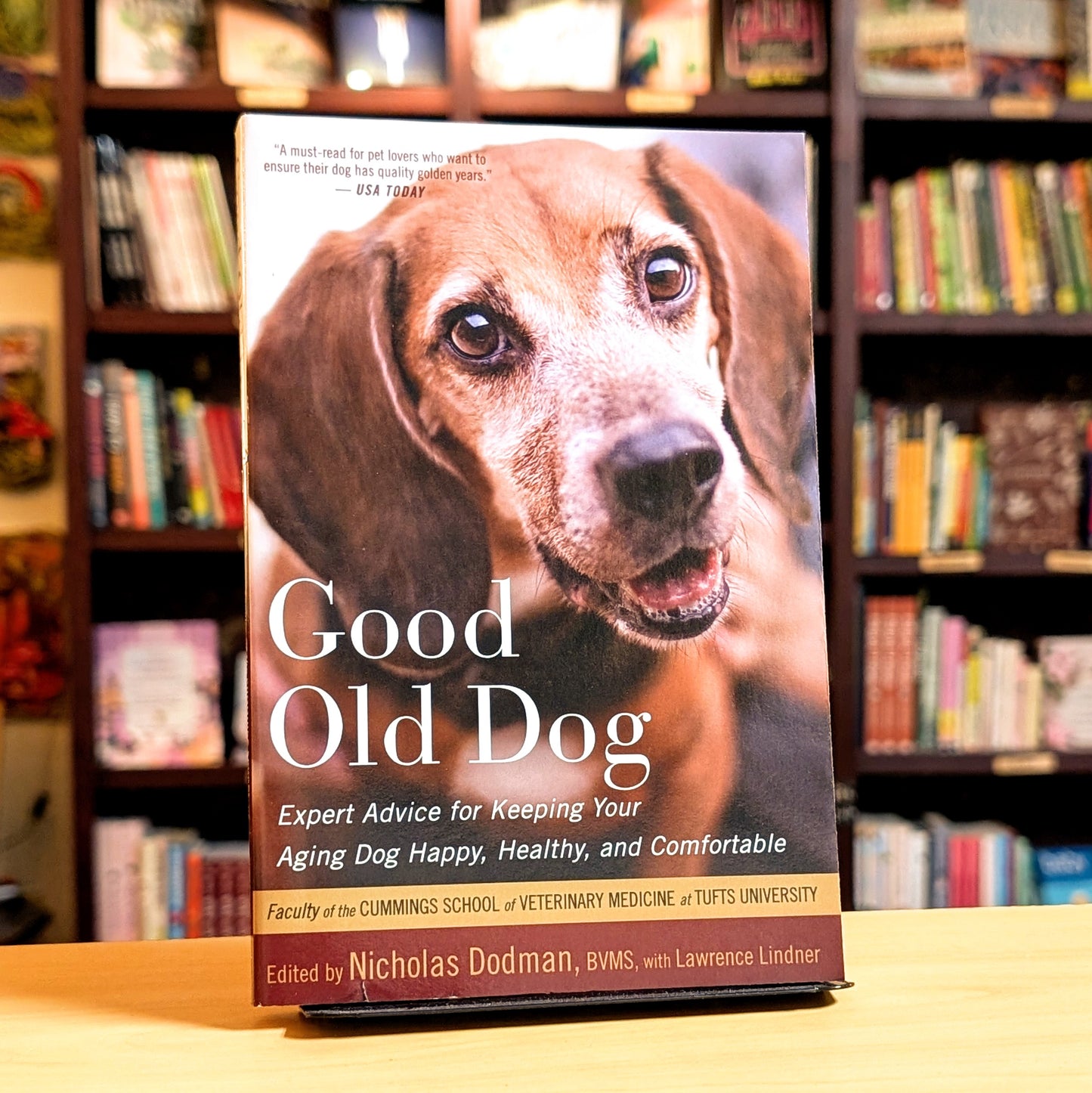 Good Old Dog: Expert Advice for Keeping Your Aging Dog Happy, Healthy, and Comfortable