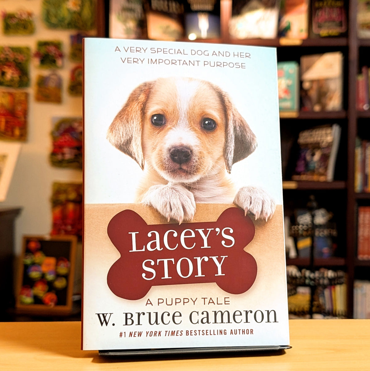 Lacey's Story