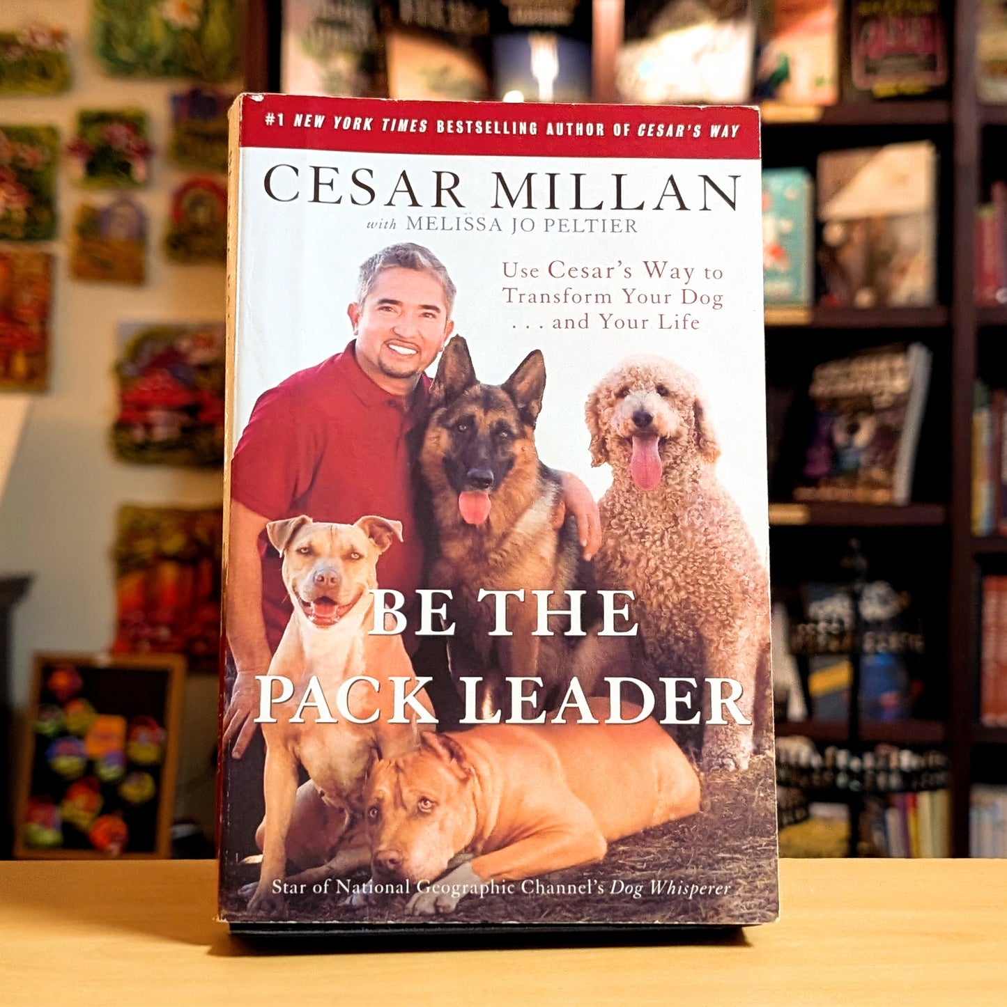 Be the Pack Leader: Use Cesar's Way to Transform Your Dog . . . and Your Life