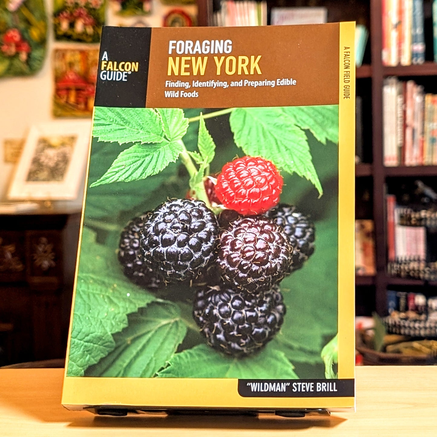 Foraging New York: Finding, Identifying, and Preparing Edible Wild Foods (Foraging Series)