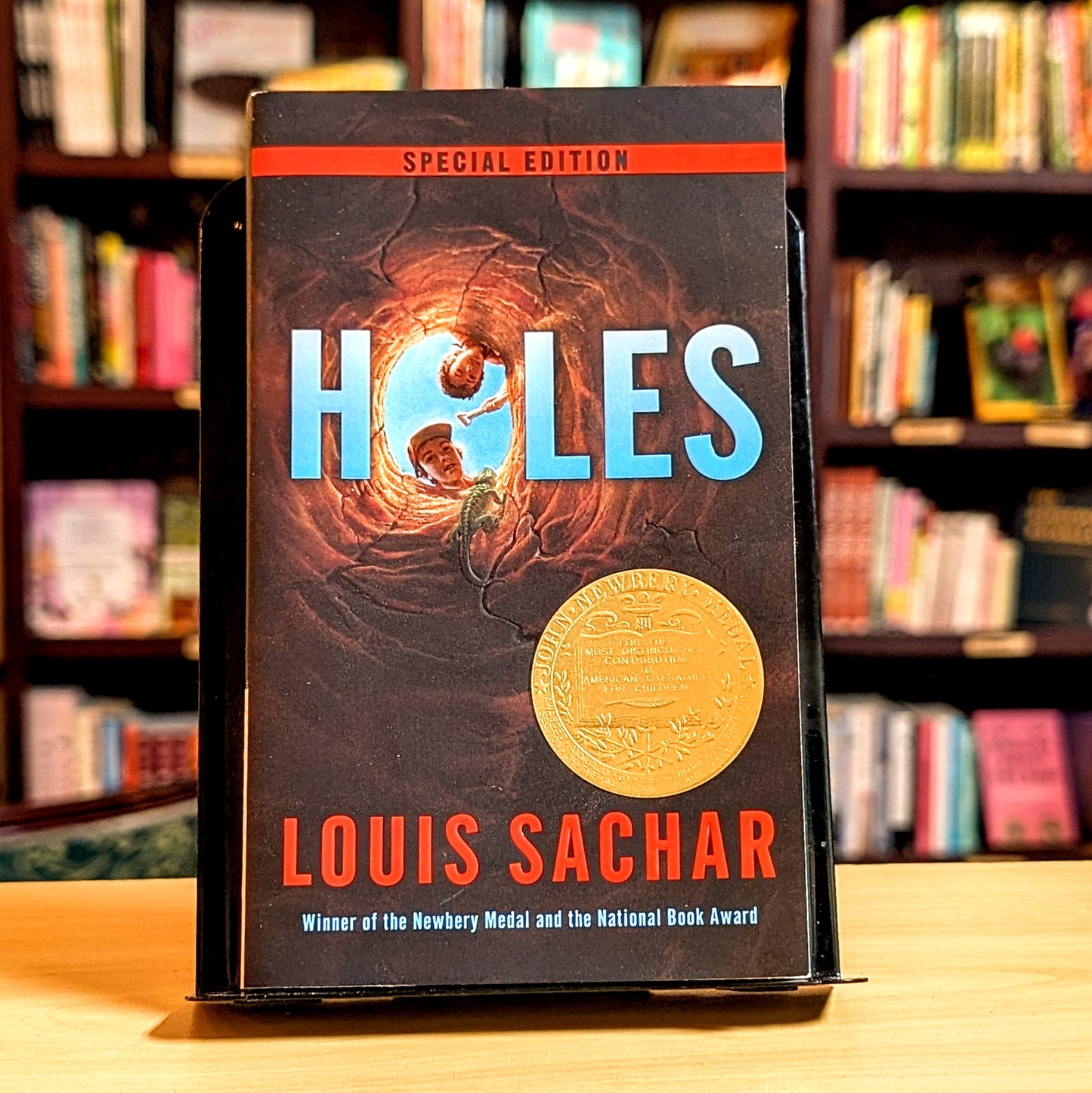 Holes (Holes Series)