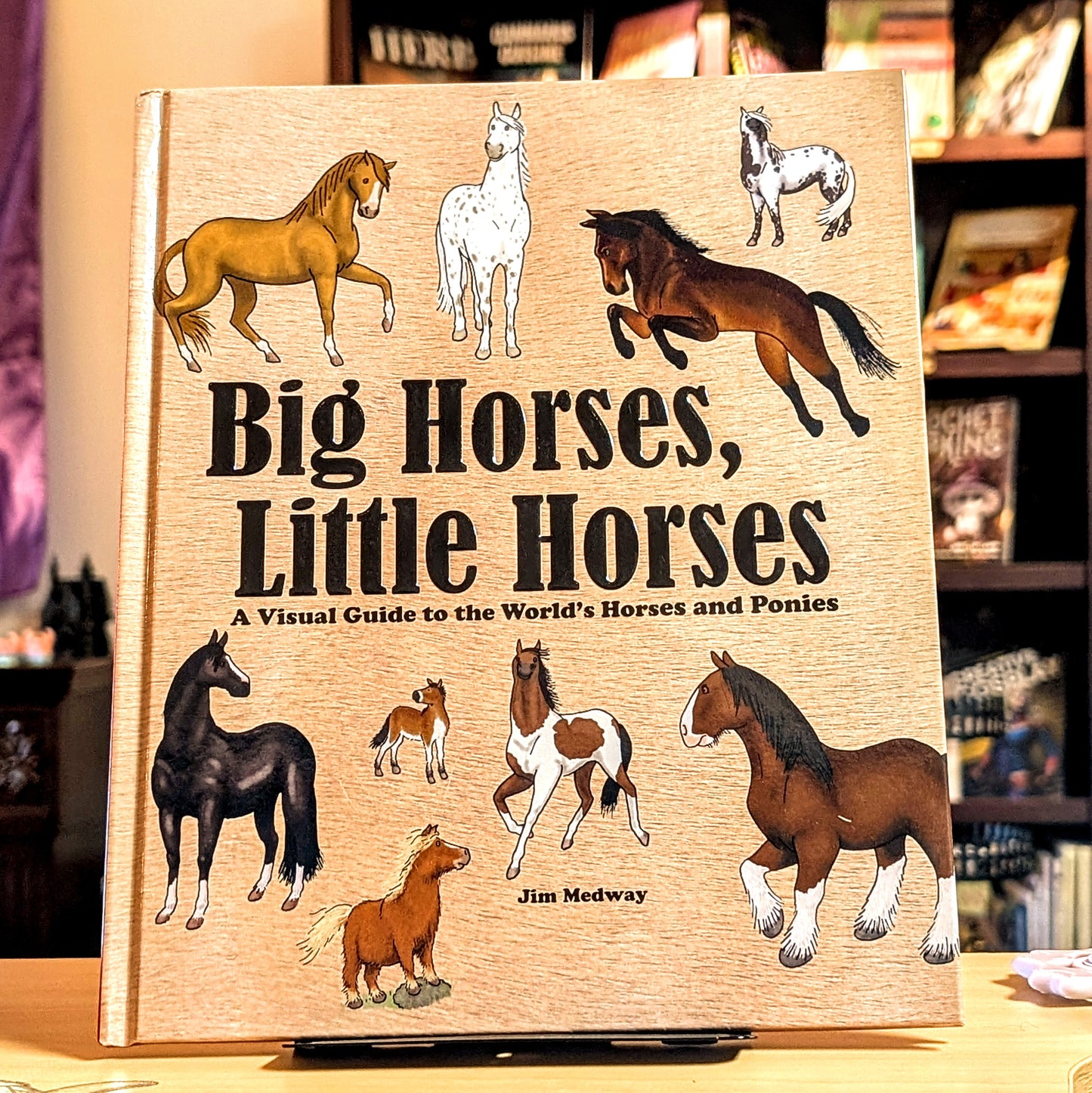 Big Horses, Little Horses: A Visual Guide to the World's Horses and Ponies