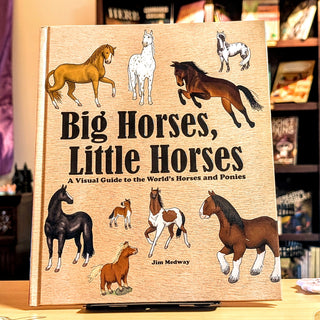 Big Horses, Little Horses