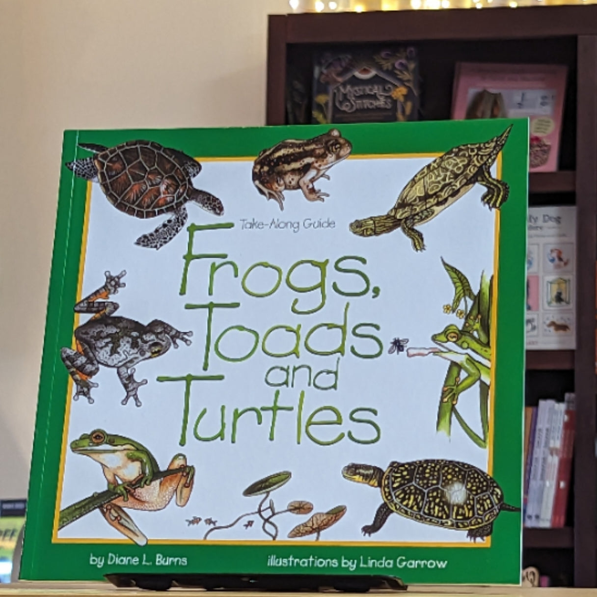Frogs, Toads & Turtles: Take Along Guide (Take Along Guides)