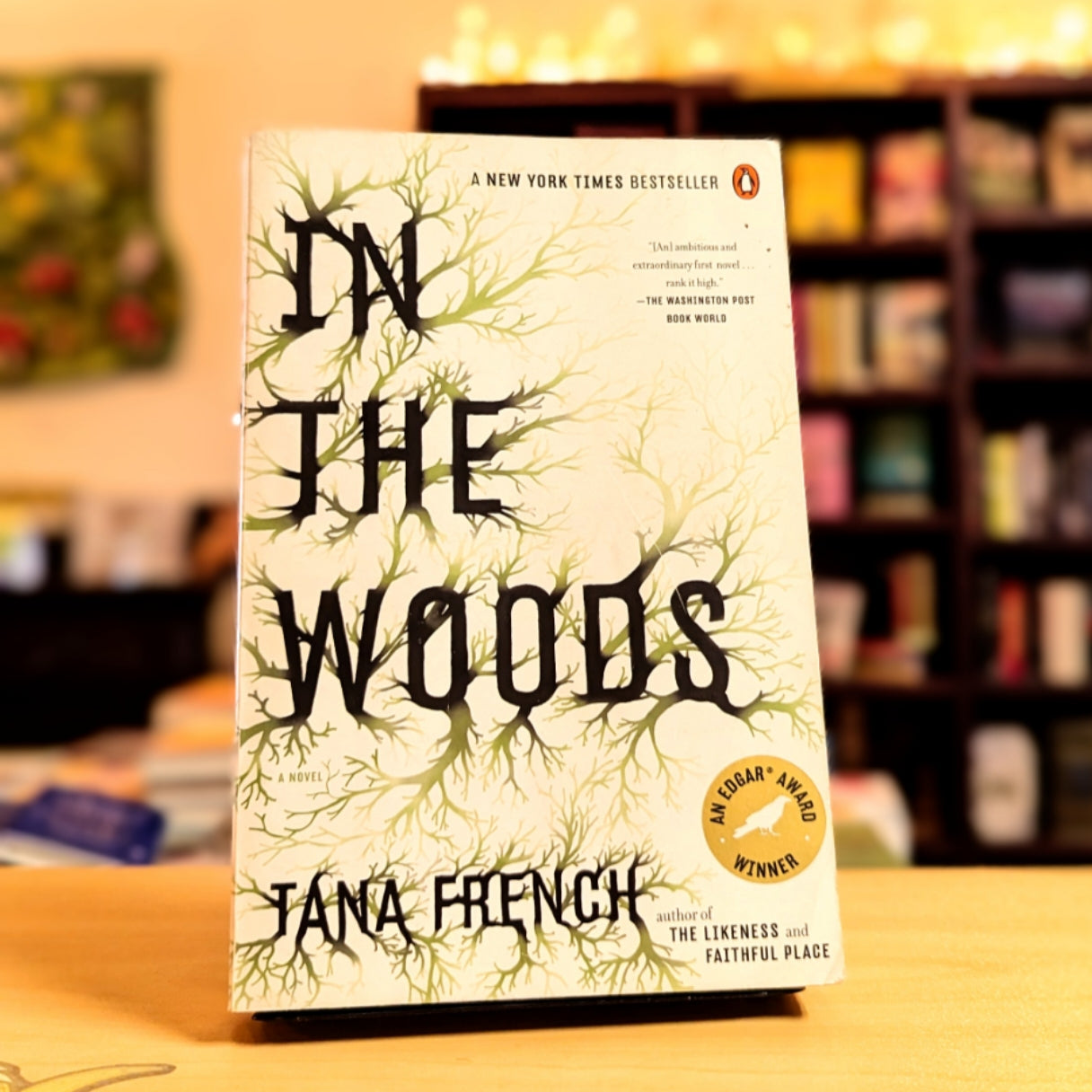 In the Woods: A Novel (Dublin Murder Squad)