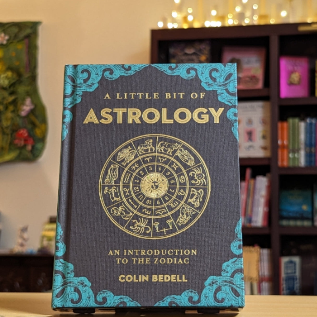 A Little Bit of Astrology: An Introduction to the Zodiac (Volume 14) (Little Bit Series)