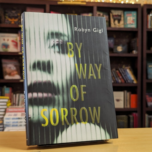 By Way of Sorrow (An Erin McCabe Legal Thriller)