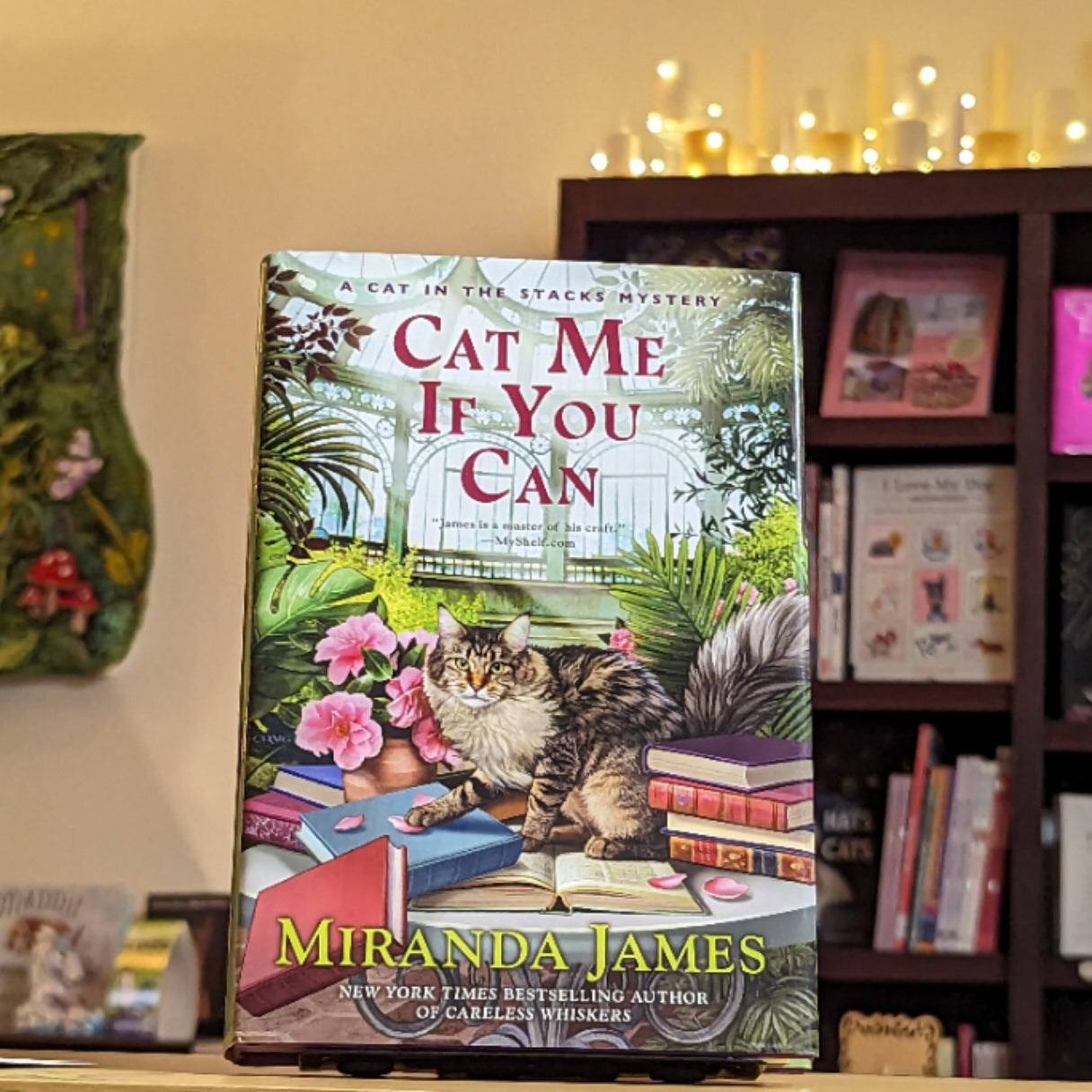 Cat Me If You Can (Cat in the Stacks Mystery)