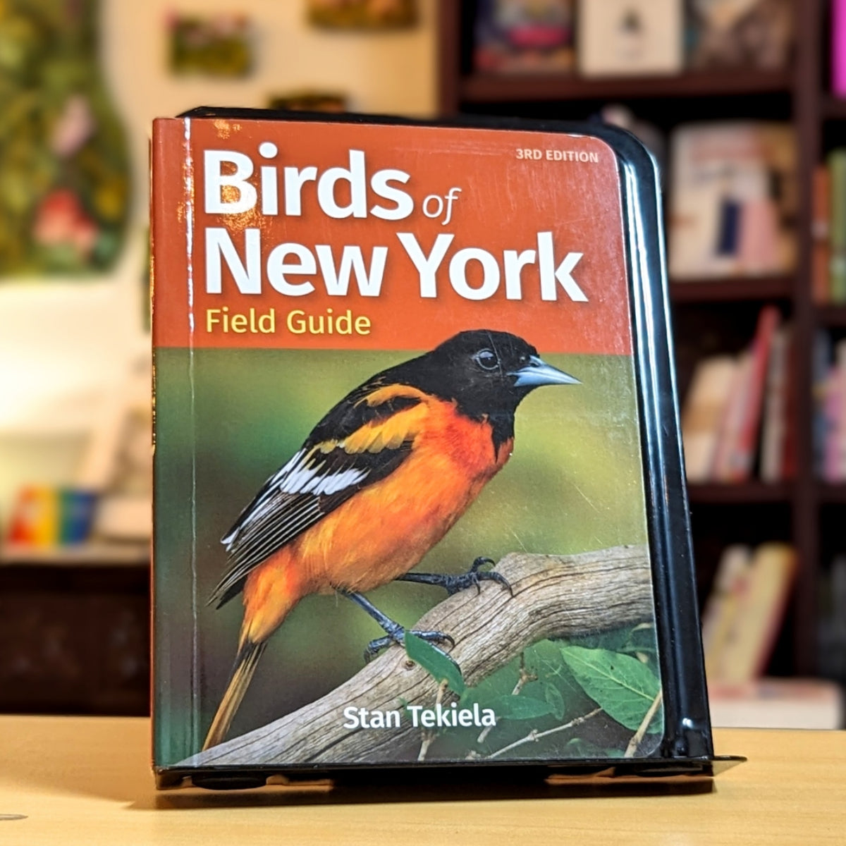 Birds of New York Field Guide