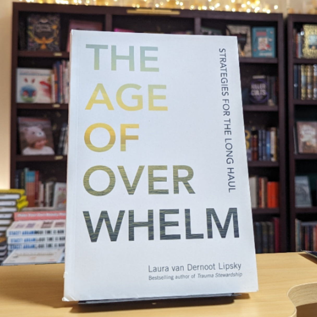 The Age of Overwhelm: Strategies for the Long Haul
