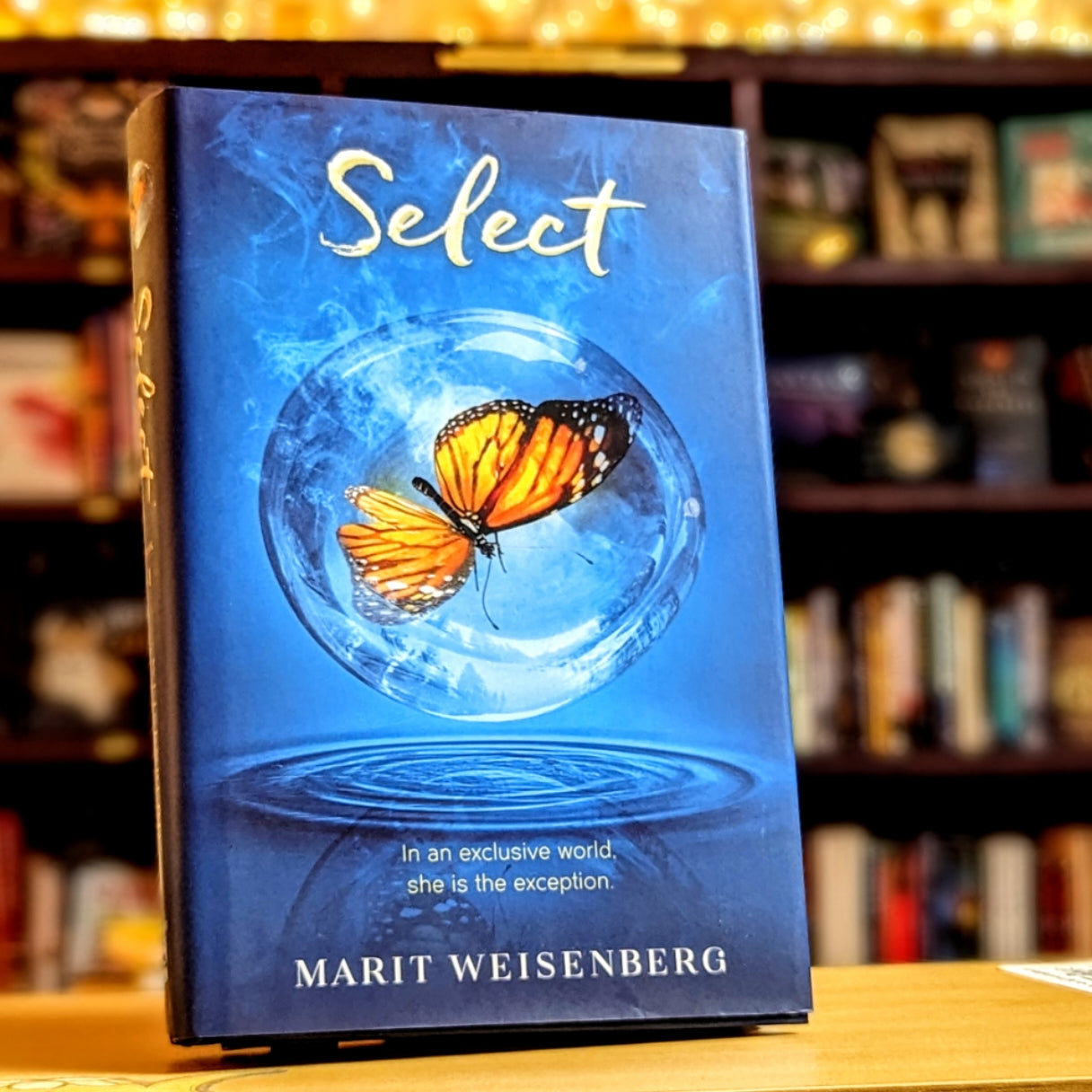 Select (Book 1 of The Select)