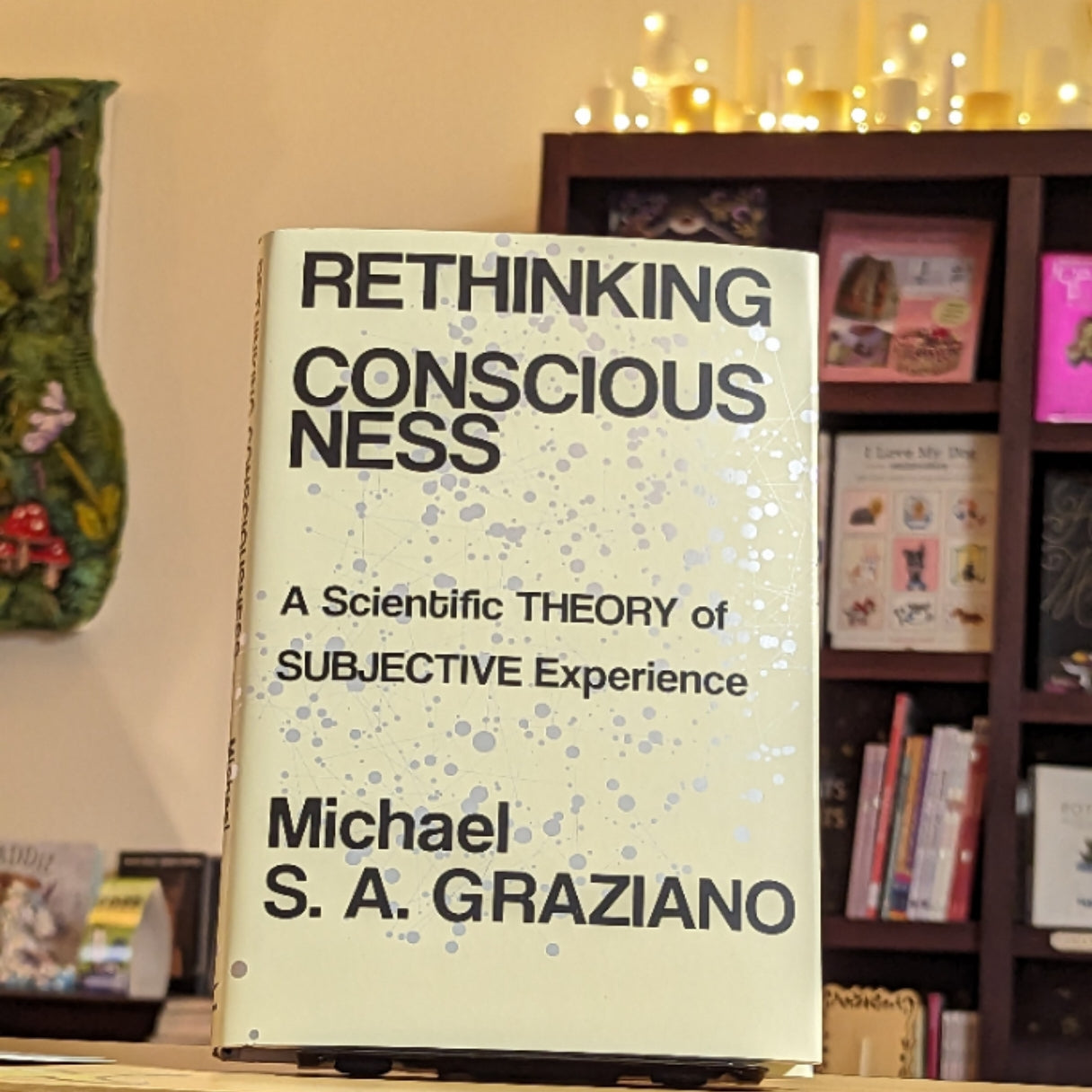 Rethinking Consciousness: A Scientific Theory of Subjective Experience