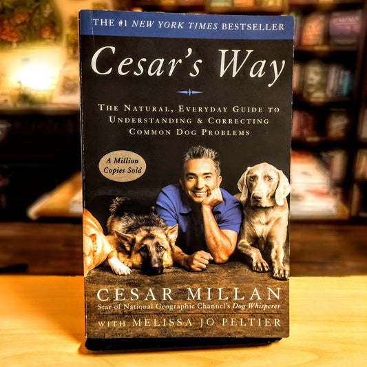 Cesar's Way: The Natural, Everyday Guide to Understanding & Correcting Common Dog Problems