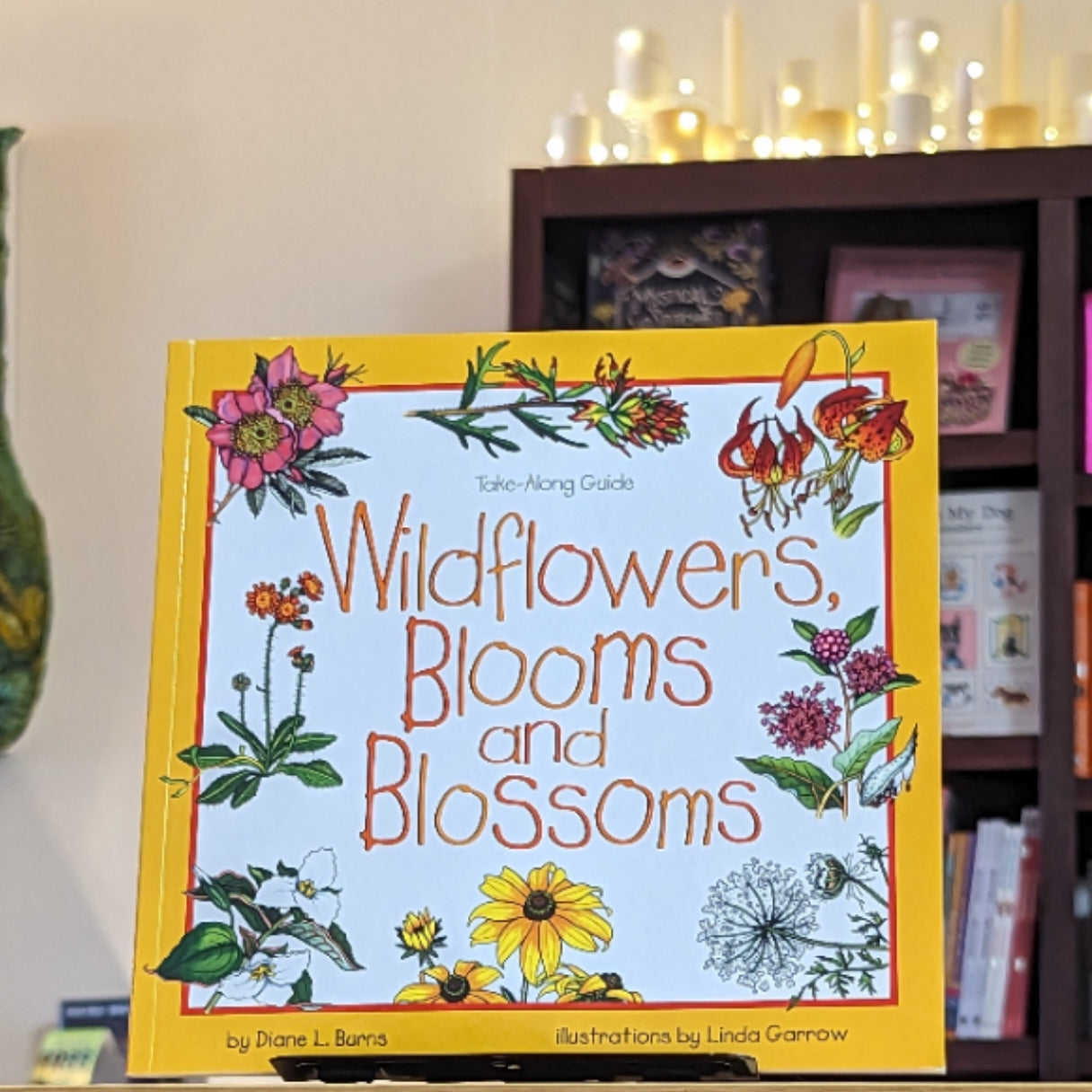 Wildflowers, Blooms & Blossoms (Take Along Guides)