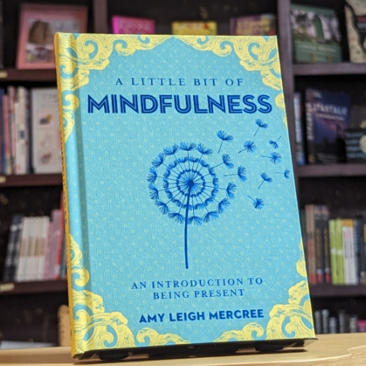A Little Bit of Mindfulness: An Introduction to Being Present (Volume 13) (Little Bit Series)