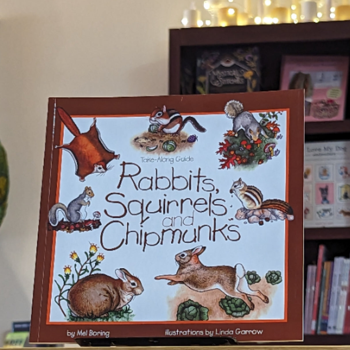 Rabbits, Squirrels and Chipmunks: Take-Along Guide (Take Along Guides)
