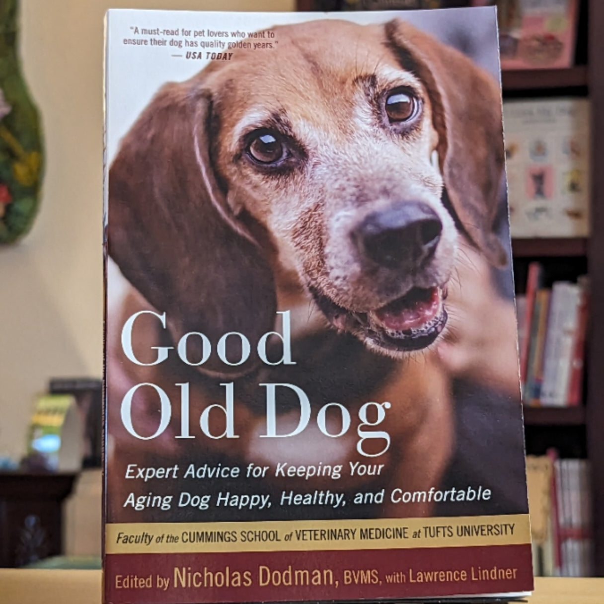 Good Old Dog: Expert Advice for Keeping Your Aging Dog Happy, Healthy, and Comfortable