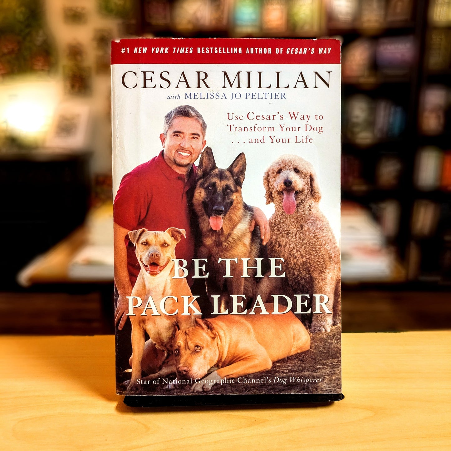 Be the Pack Leader: Use Cesar's Way to Transform Your Dog . . . and Your Life