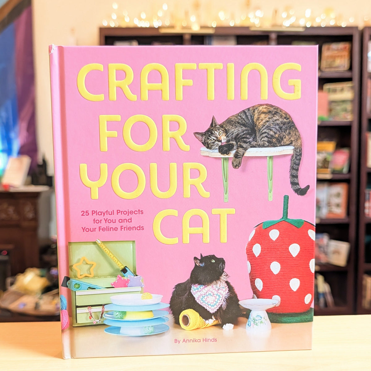 Crafting for Your Cat